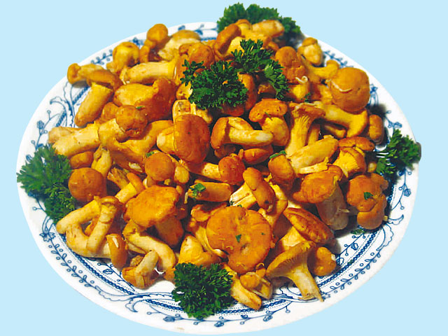 Unsere Wochen Karten