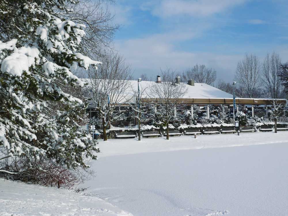 03_erlensee_im_winter